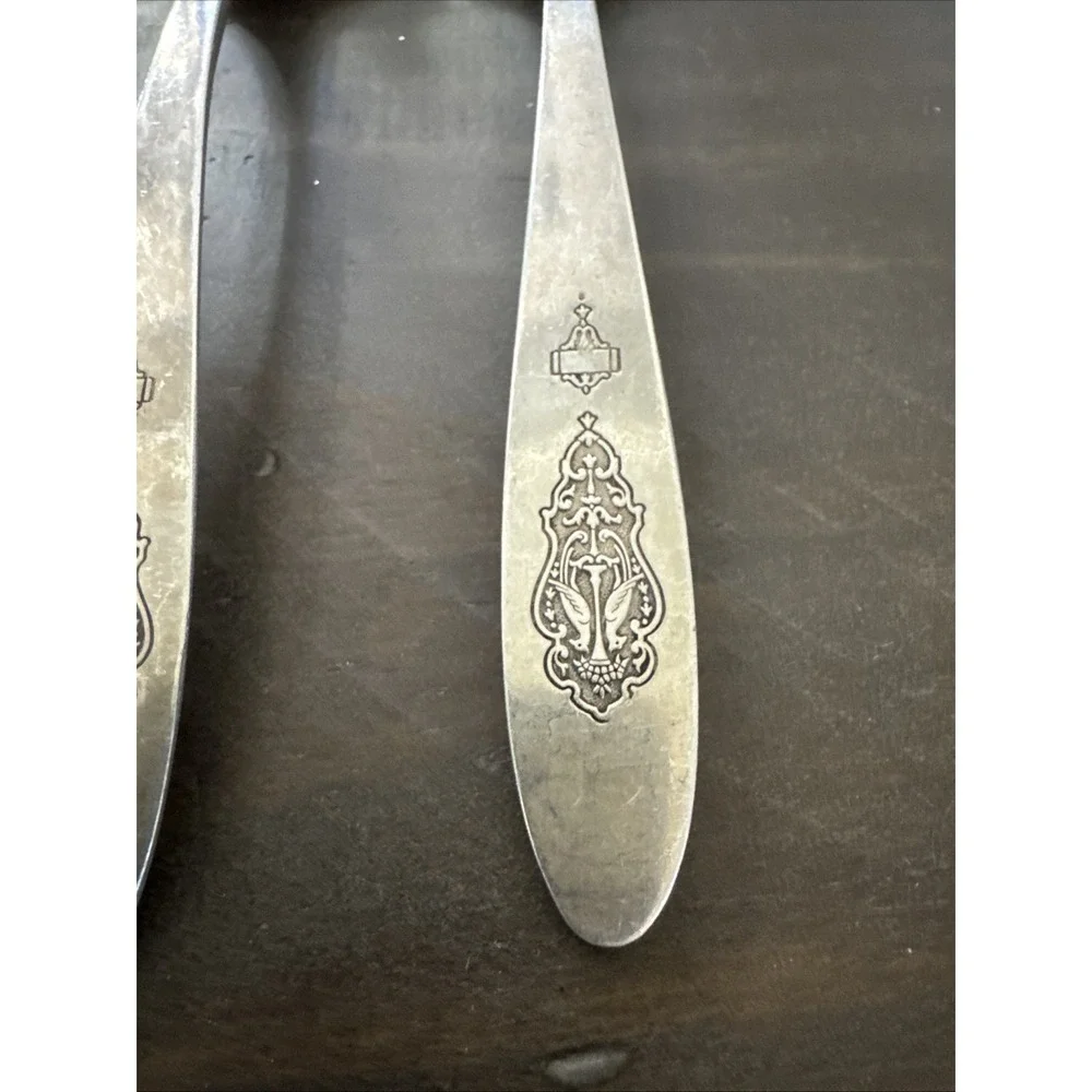 Oneida Community 1923 Silverplate - BIRD of PARADISE - Serving Spoon 8.25